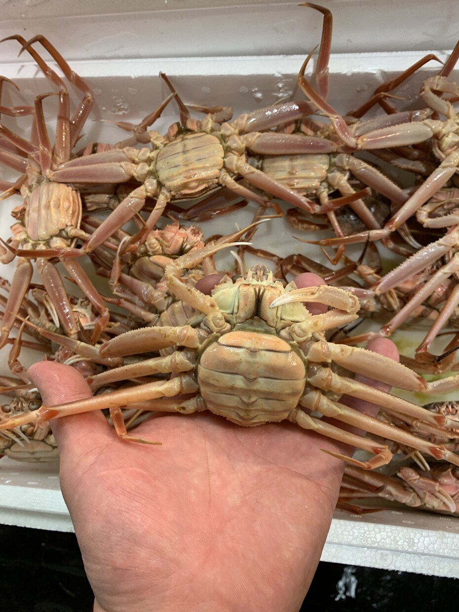 お探しの食材（海鮮,魚）販売先教えます 豊洲市場内、仲卸のことならなんでも聞いてください イメージ3