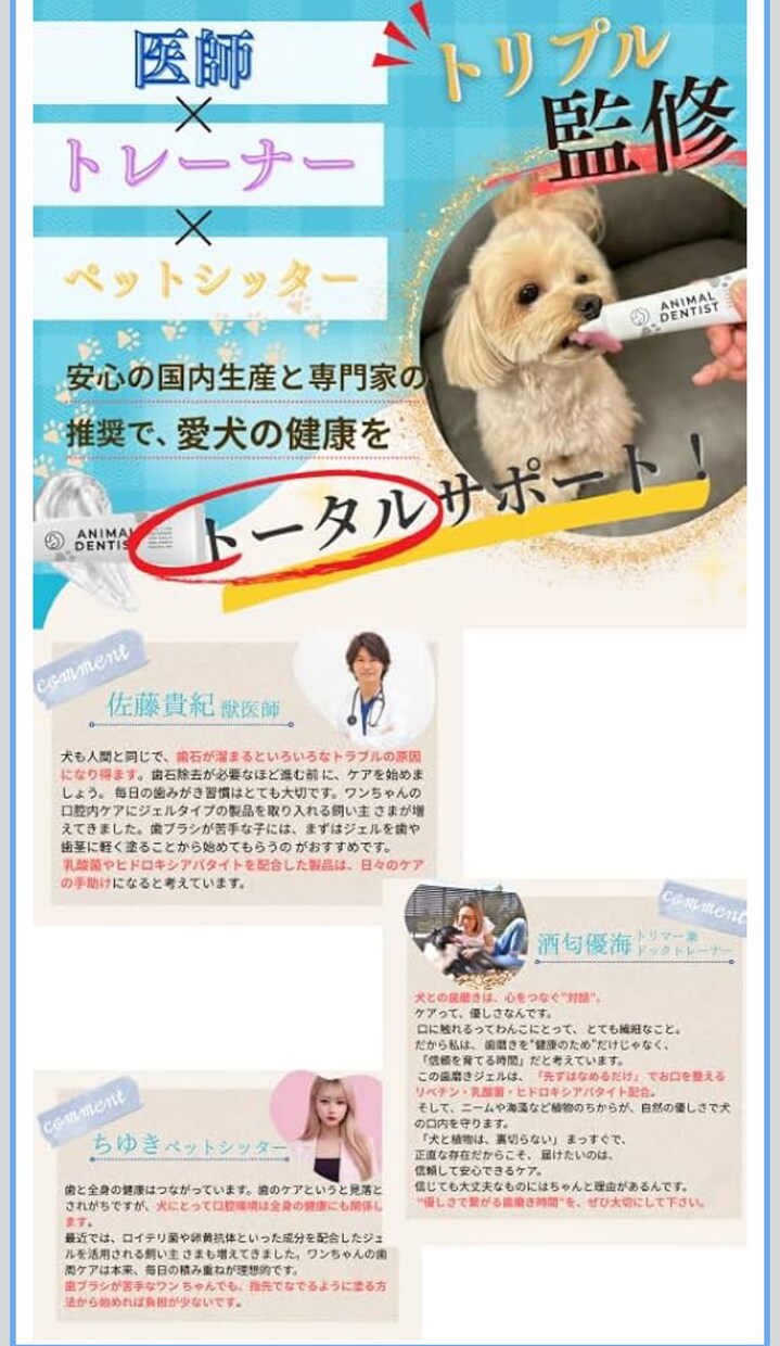 犬のプロがペットビジネスの成功をサポートします 監修、イメージ写真の撮影、PR、新規サービスの相談など イメージ7