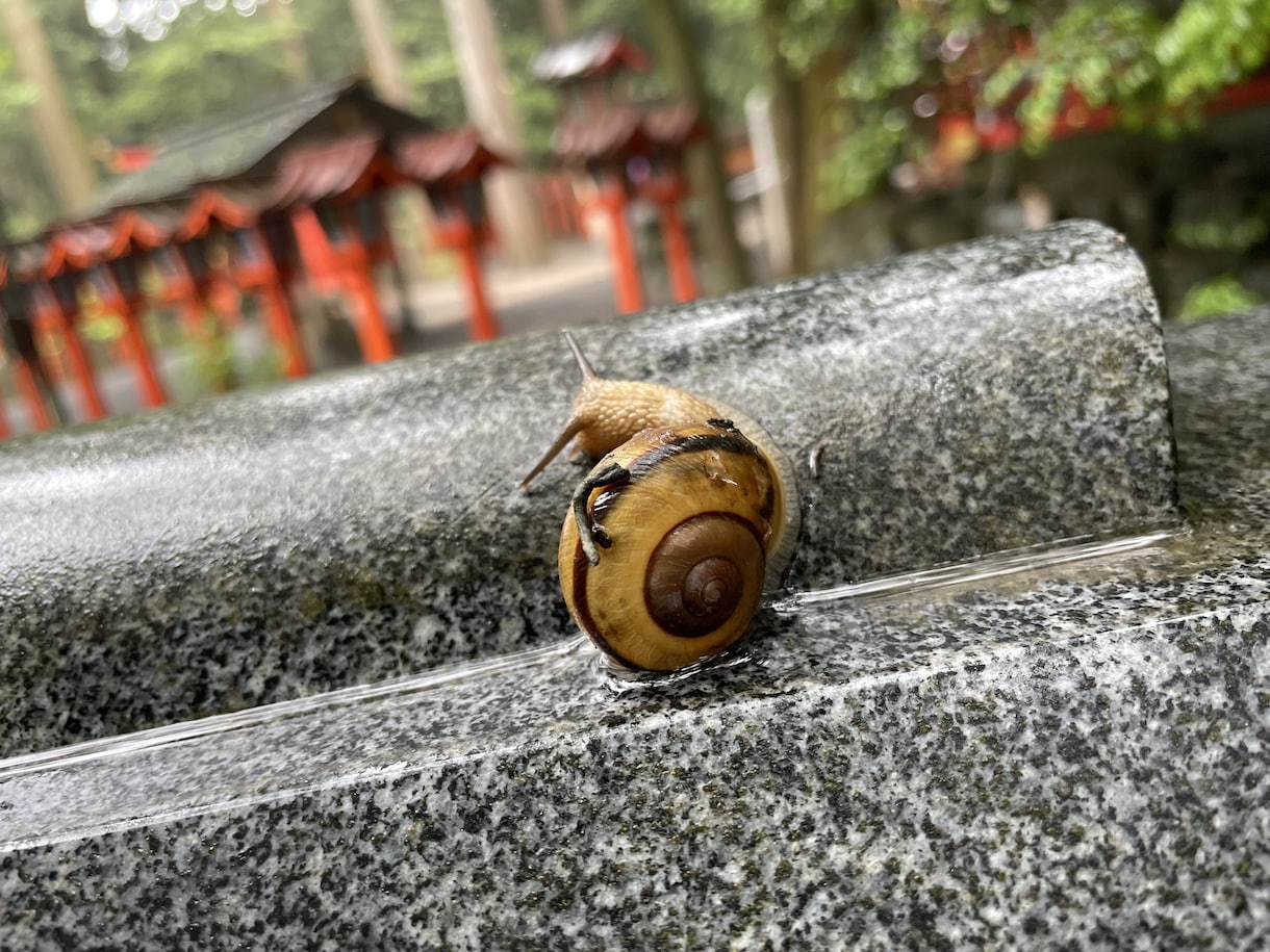 お子様の発達が心配な親御さまのお悩みをお聞きします 保育士＆児童発達支援員があなた様親子の笑顔のヒントをお届け イメージ7