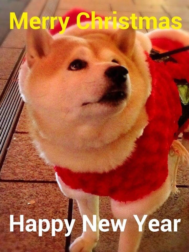 心の悩みを解消します 心配事、悩み、お金、人間関係等、全ての悩みに向き合います。 イメージ1