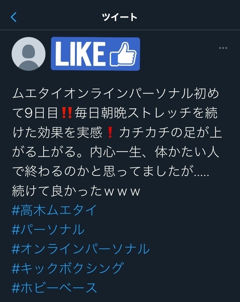 オンラインでキックボクシングお教えします 自宅でこっそり強くなる！アナタだけのオリジナルカリキュラム！ イメージ2