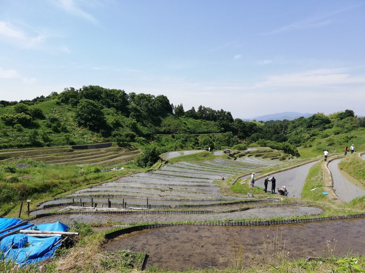 旅行の計画立てをお手伝いさせていただきます 国内旅行/温泉旅行/レジャー/ファミリー イメージ1