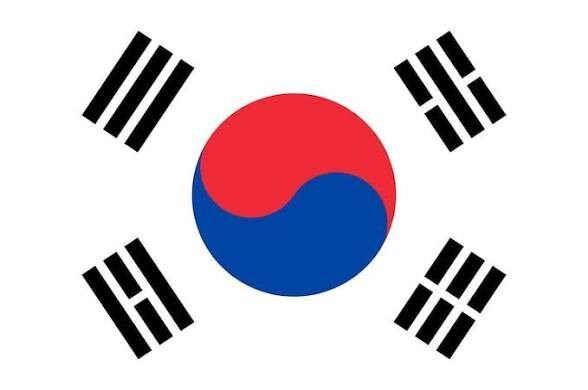 なんの翻訳でもできます 韓国人が使うリアルで自然な韓国語 イメージ1