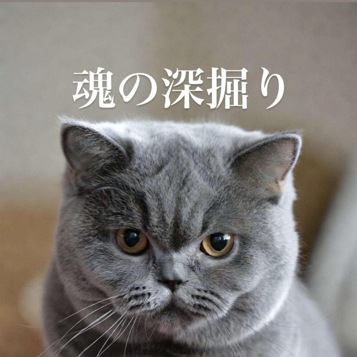 霊視で魂を深掘ります 本来のあなたと前世、現世の使命を視通します イメージ1