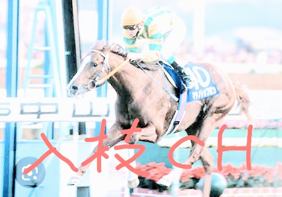 今週Ｇ１の勝ち馬と穴馬の占いをお教えしまます 競馬のＧ１を入枝流の易で占います。 イメージ1