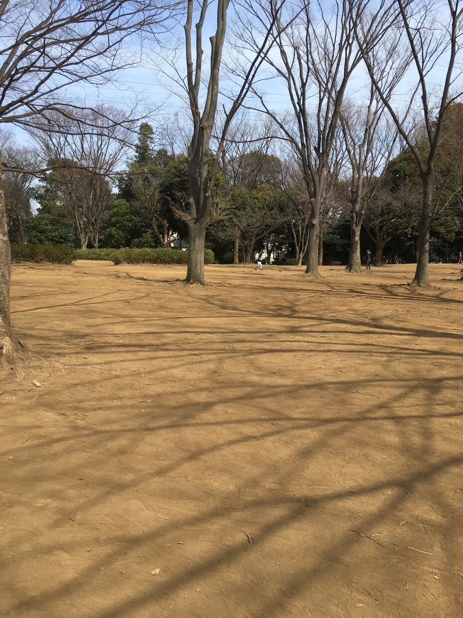 文章作成、文字起こし、データ入力行います 文章作成が苦手な方へのお手伝いします！ イメージ1