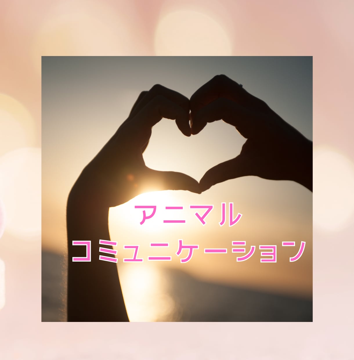 アニマルコミュニケーションをします ☆動物さんの情報空間にアクセスします☆虹の橋の子もOKです☆ イメージ1