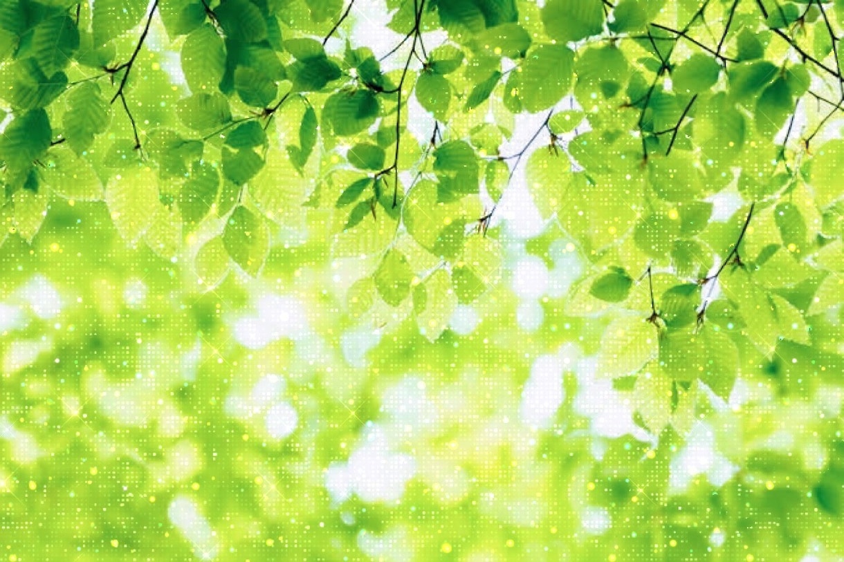 性別問わず、色んなお話、お聞き致します 恋愛問題/人間関係/愚痴/不満‥その他雑談♡ イメージ2