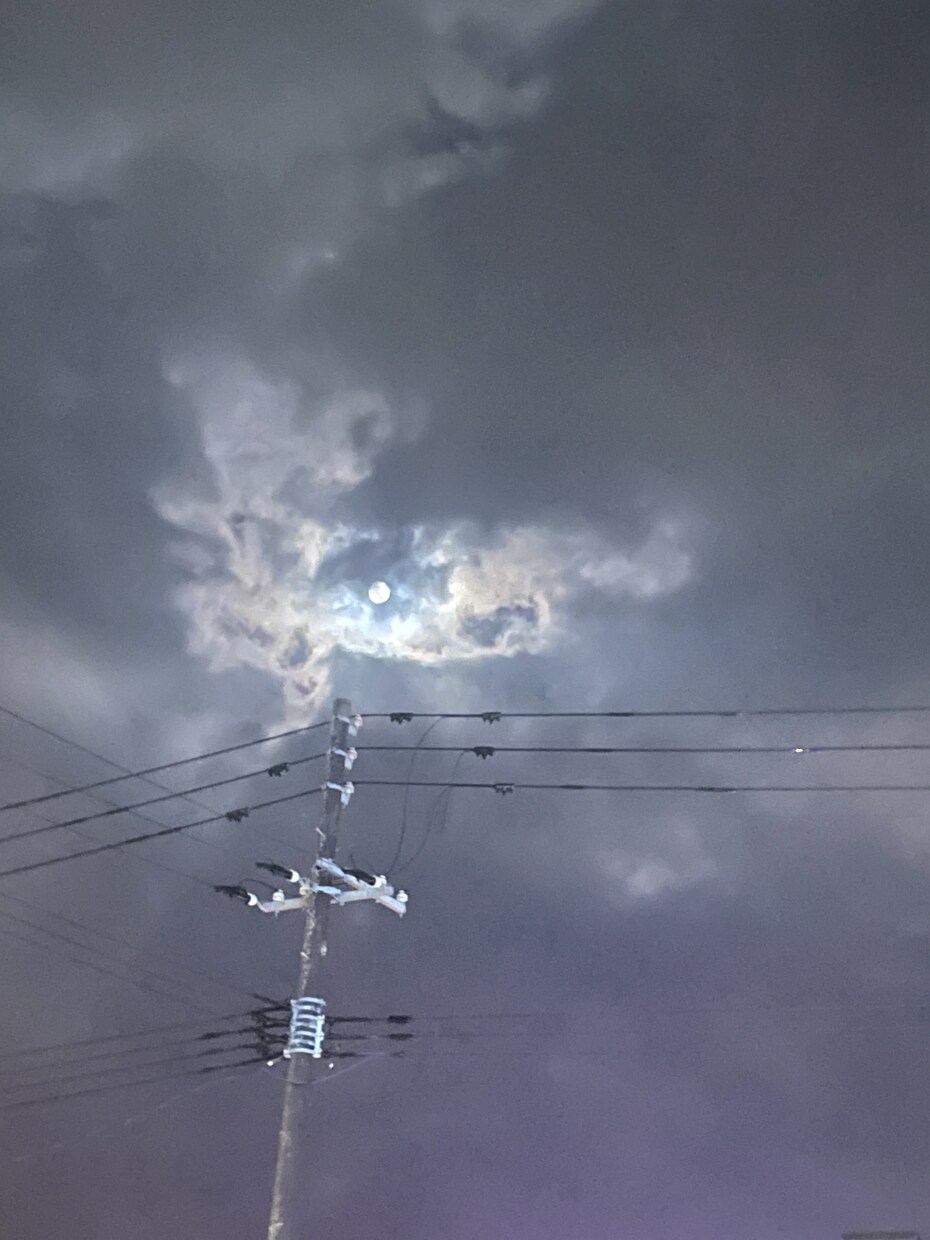 写真素材を提供します プロが撮影した綺麗な風景写真セット イメージ6