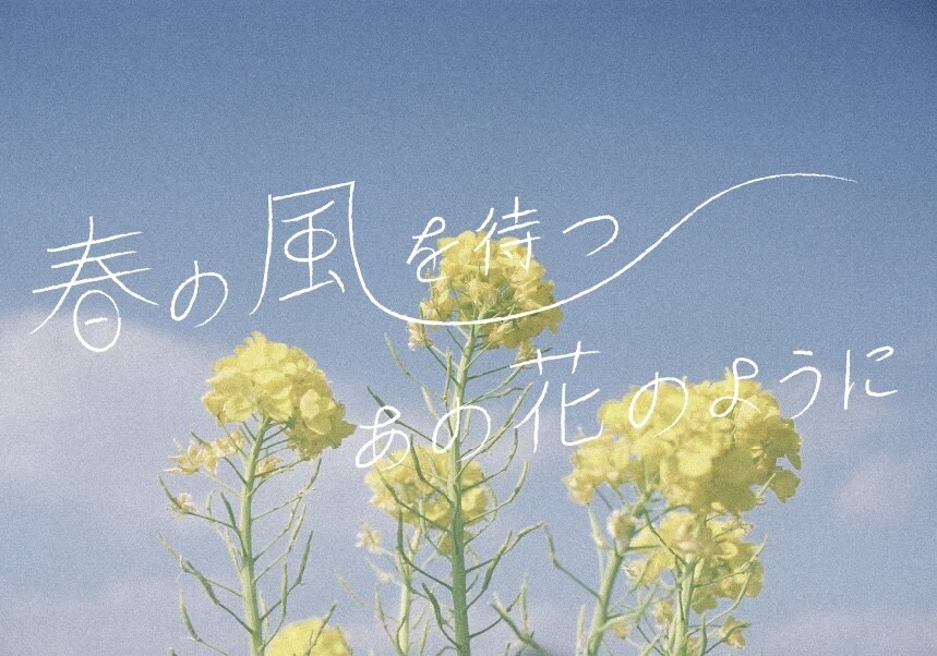 タイポグラフィを作成します 学生の若い感性でいわゆるエモい雰囲気を目指します！ イメージ3