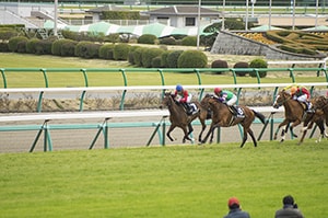予想、知識必要なし！投資競馬とはなにか？教えます 無駄な計算、新聞一切なし！投資競馬とはそういうものです。 イメージ1