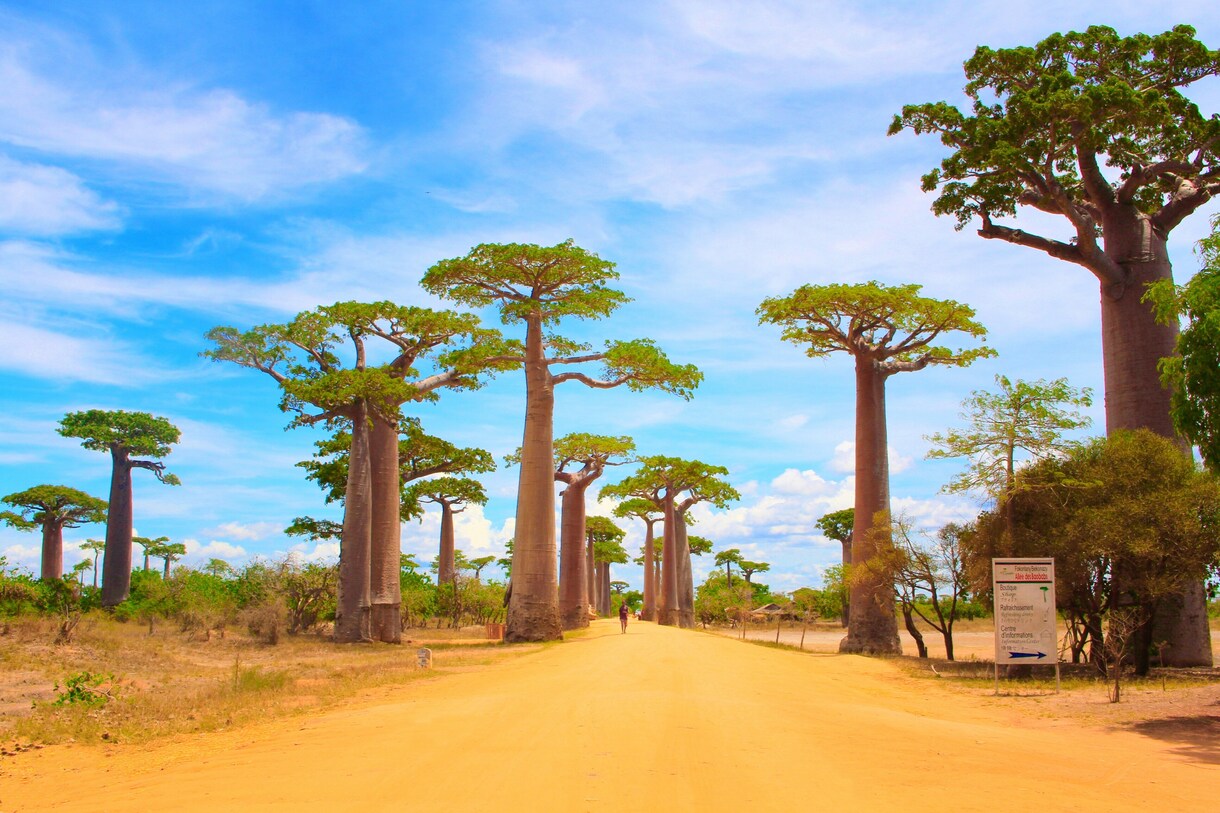 地球2周完！この国のこと教えてという情報提供します これから旅に出たい、旅行に行く、そんなあなたへ イメージ4