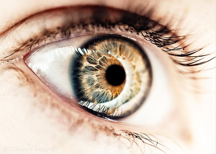 最新の占い - 画期的な手法であなたを占います StarEyes:瞳占星術 - あなたの瞳と西洋占星術の融合 イメージ1