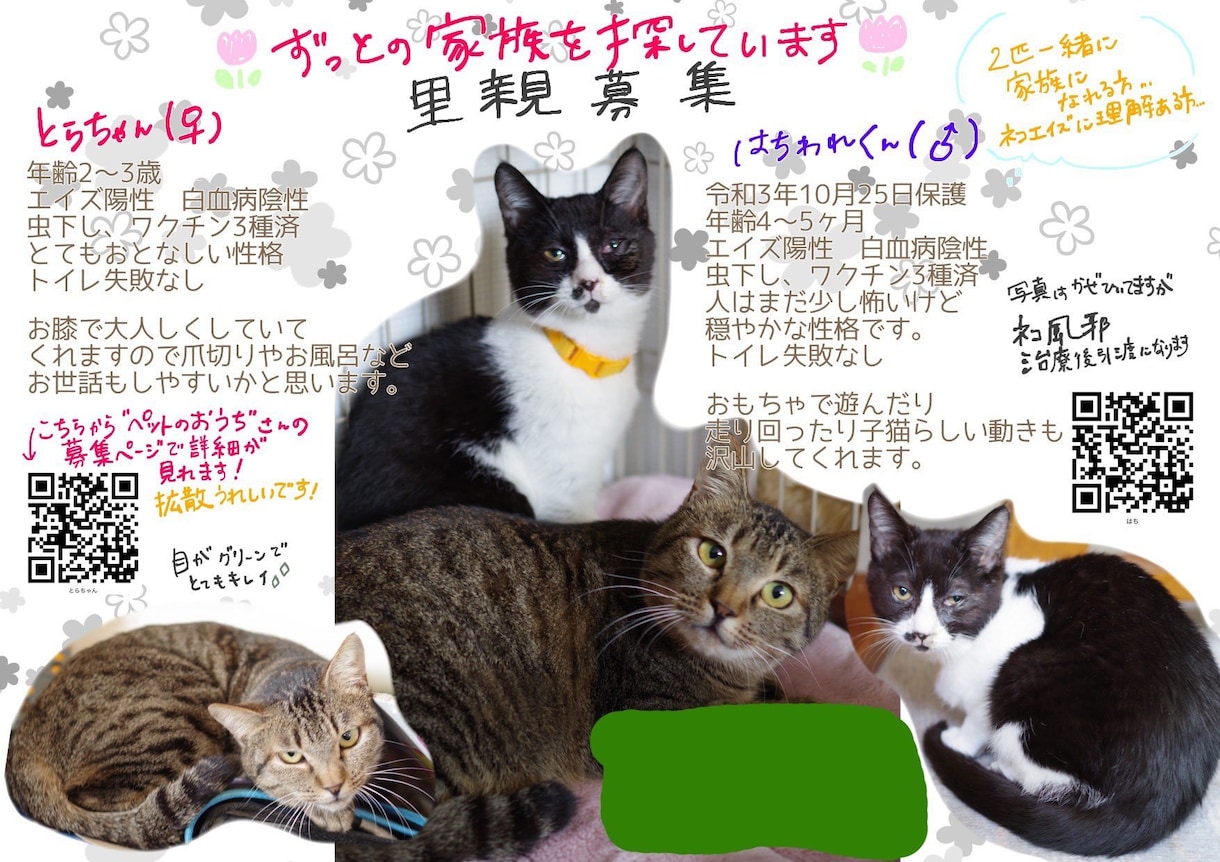 迷子のチラシ、里親募集チラシ作ります 後悔の気持ち、そして優しい気持ちで困っていませんか？ イメージ2