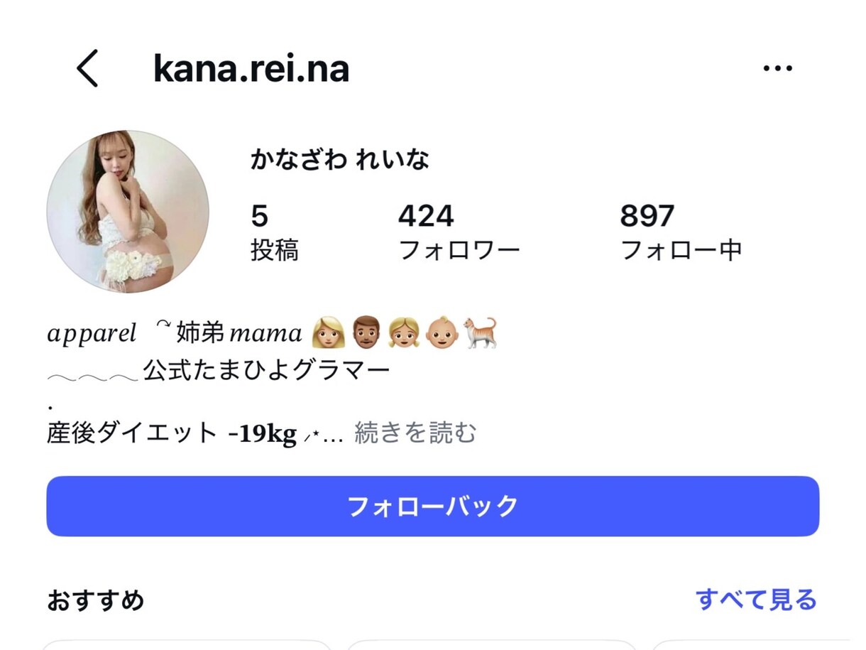 インスタ鍵垢と公開垢をMIX｜ゆっくりと増加します Instagram｜自然に見えるMIX構成｜30日間補償 イメージ3