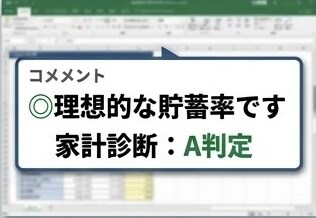 入力するだけで家計・保険・将来を自動診断します 3種類のワークシートで家計・保険・老後をまるごとチェック イメージ3