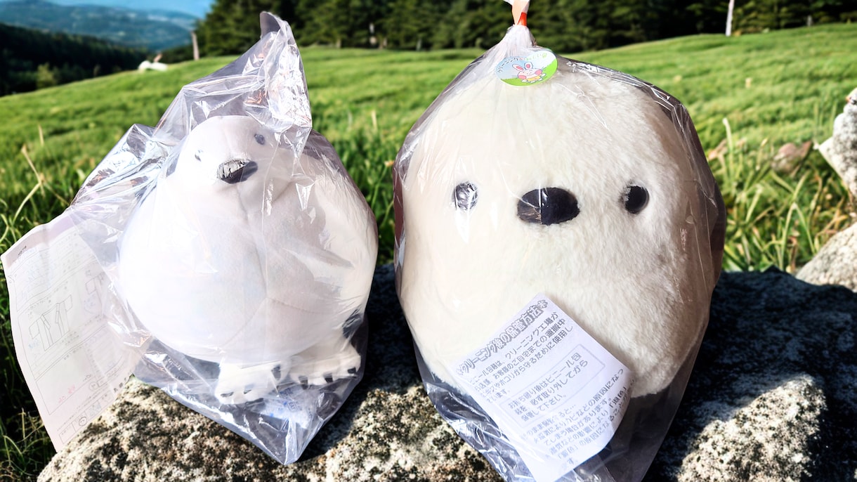 今すぐOK♥️独りがどうしようもない時そばにいます あなたを「独りぼっち」にさせません イメージ5