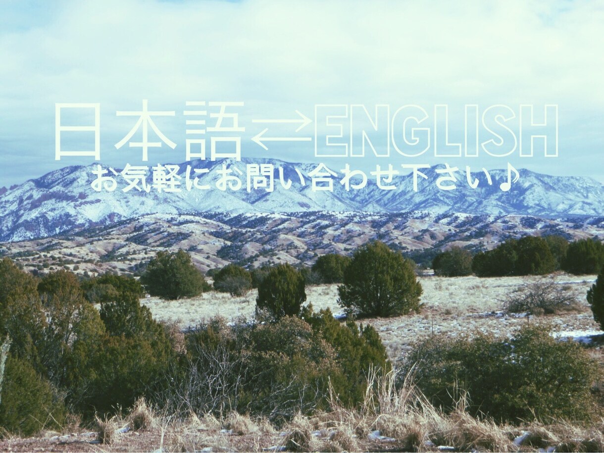 日本語⇄英語の翻訳します アメリカ10年、日本10年住んでいたネイティブが訳す！ イメージ1