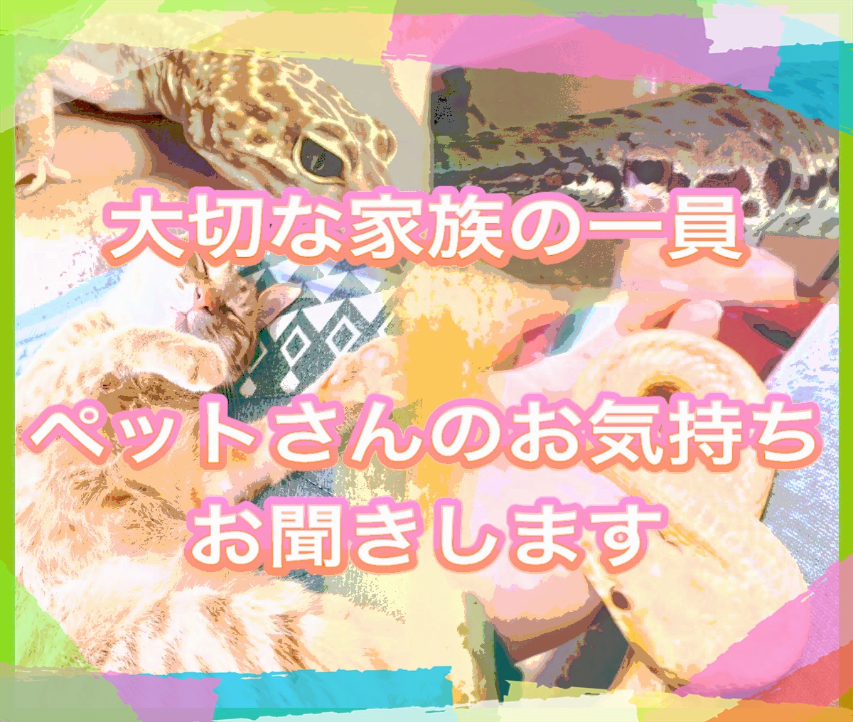 大切な家族の一員、ペットさんのお気持ちお聞きします 犬猫はもちろん爬虫類や魚、鳥さんやウサギさんなどもお気軽に！ イメージ1