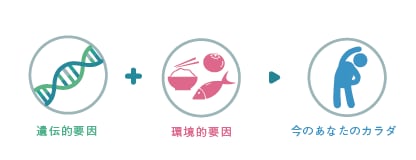 遺伝子分析結果から適したアドバイスをします 体質に合ったダイエット方法、筋肉のつきやすさなど イメージ2