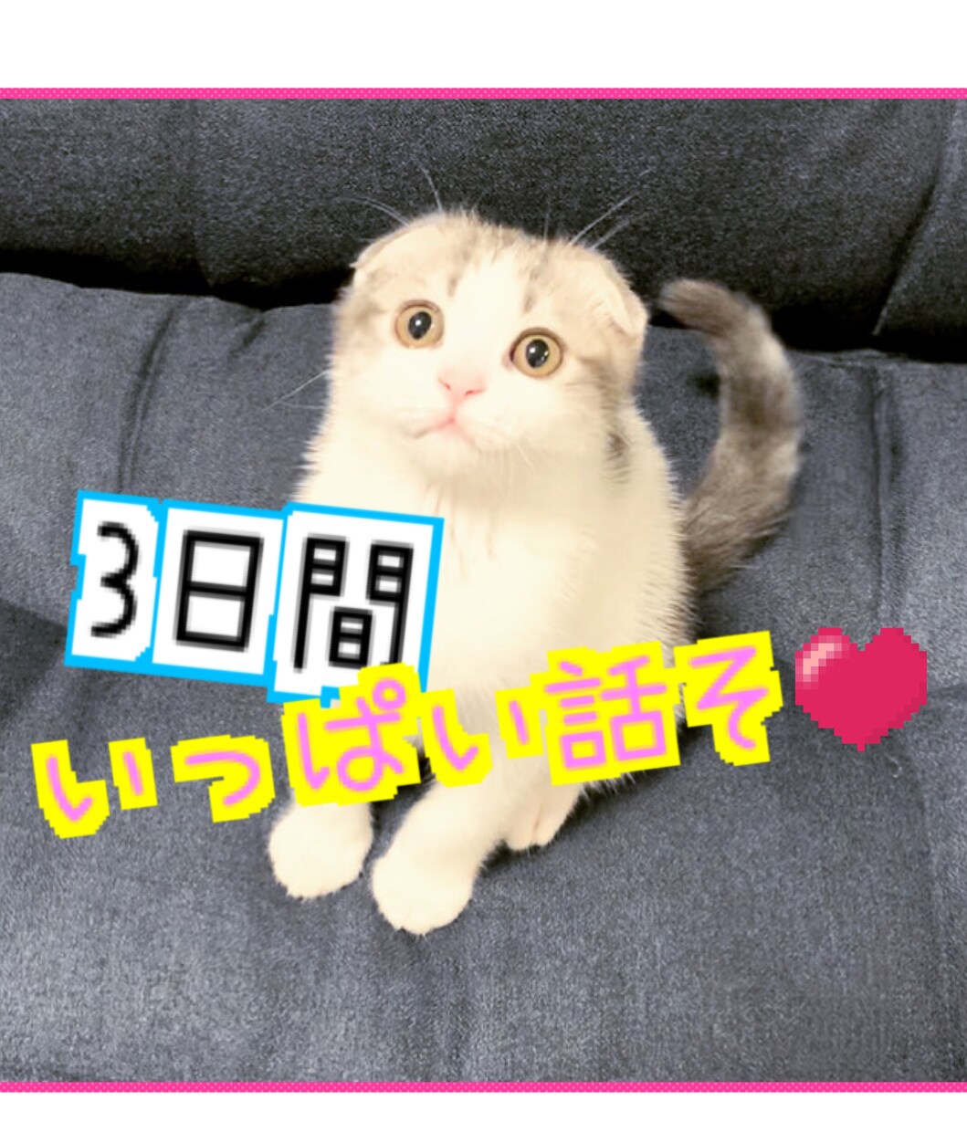 3日間【チャット】お話し聞きます /思ってる事を何でもお伝え下さいね♪ イメージ1