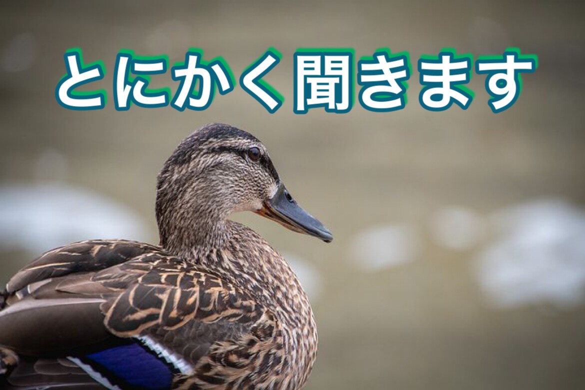 とにかく聞きます 悩み相談ほどじゃないけど聞いてほしいことがある方へ イメージ1