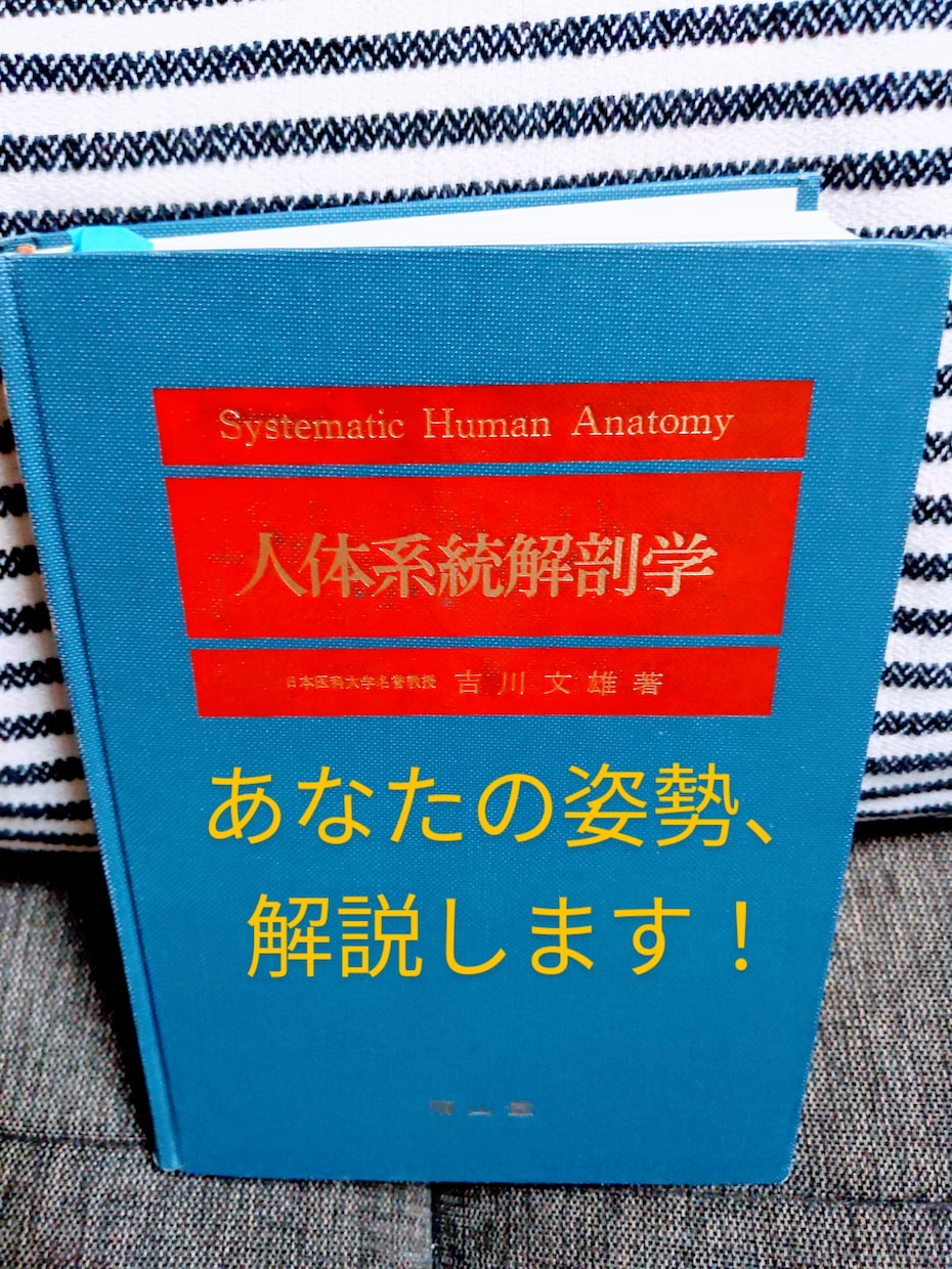 オンライン：猫背！腰痛！肩凝！姿勢から解消します 認定理学療法士が【身体の不均衡】を医療知識で解消します！ イメージ1