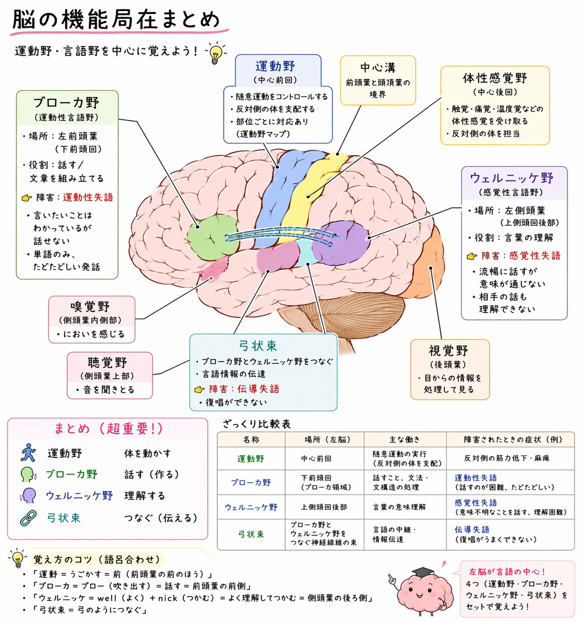 新人看護師向けのあんちょこ107種類あります 現場でそのまま使えるあんちょこはココだけ イメージ2