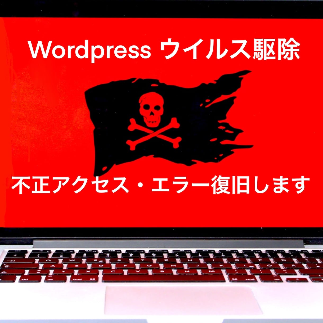 Wordpressのウイルス除去！サイト復旧します ウイルス感染、謎のログ、どんな依頼でもサイトを元通りにします イメージ1