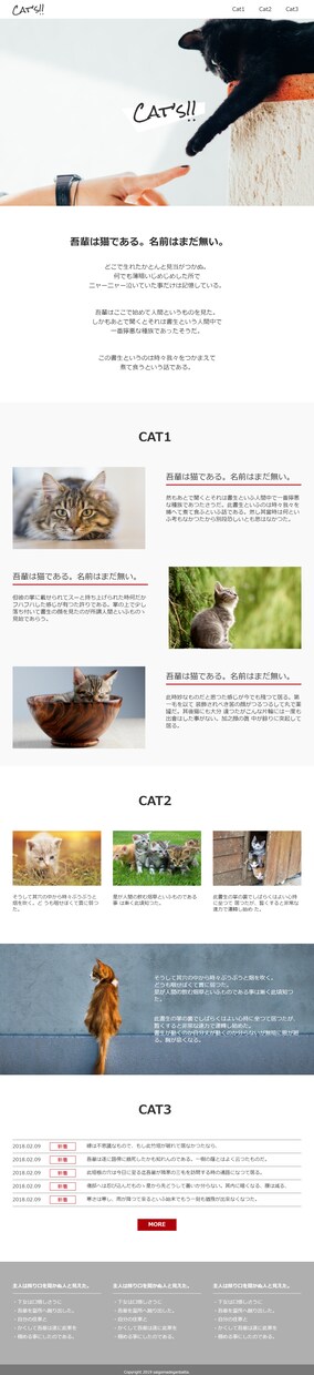 10ページ 3000円でHTMLコーディングします レスポンシブ対応、JavaScriptの設定も無料で行います イメージ4