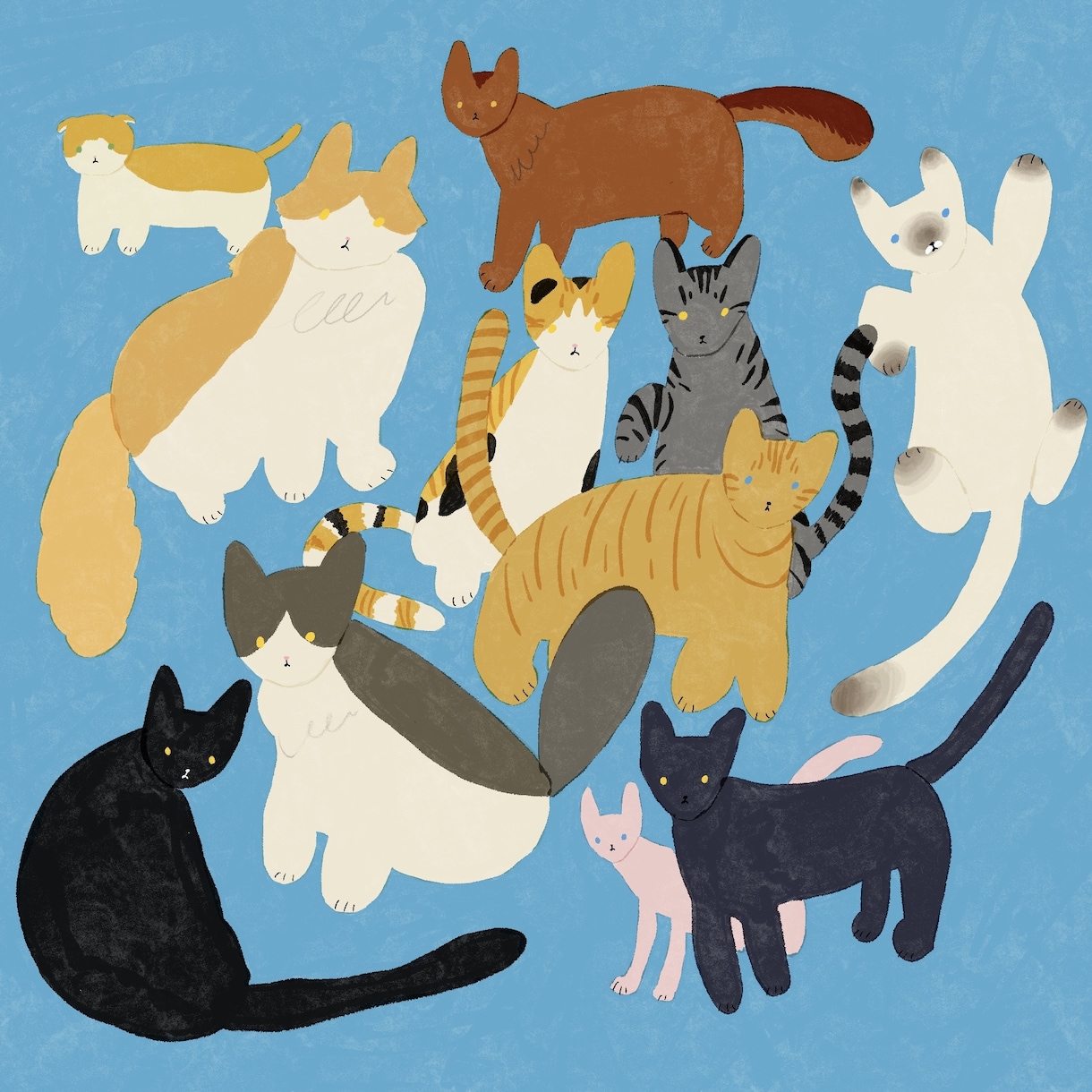 アイコン使用可！あなたのねこちゃんゆるく描きます お好きなカラーを背景に、ねこちゃんの似顔絵をゆるく描きます。 イメージ1