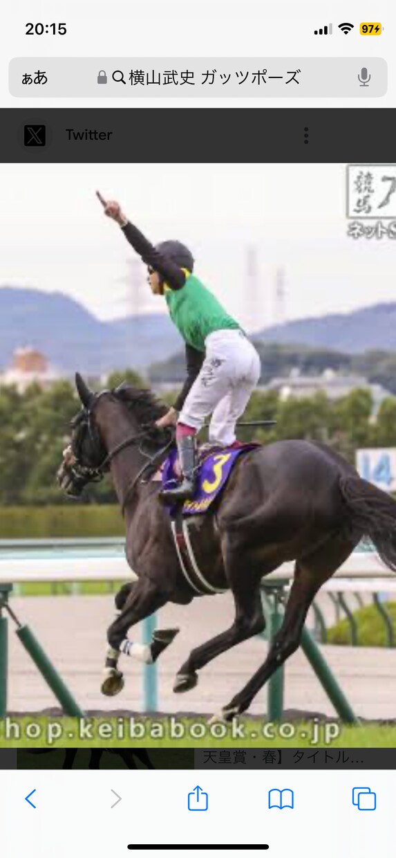 競馬の独自の見解と本命馬、推奨馬予想します あなたの予想を手助けします。展開から予想してます地方競馬も。 イメージ6