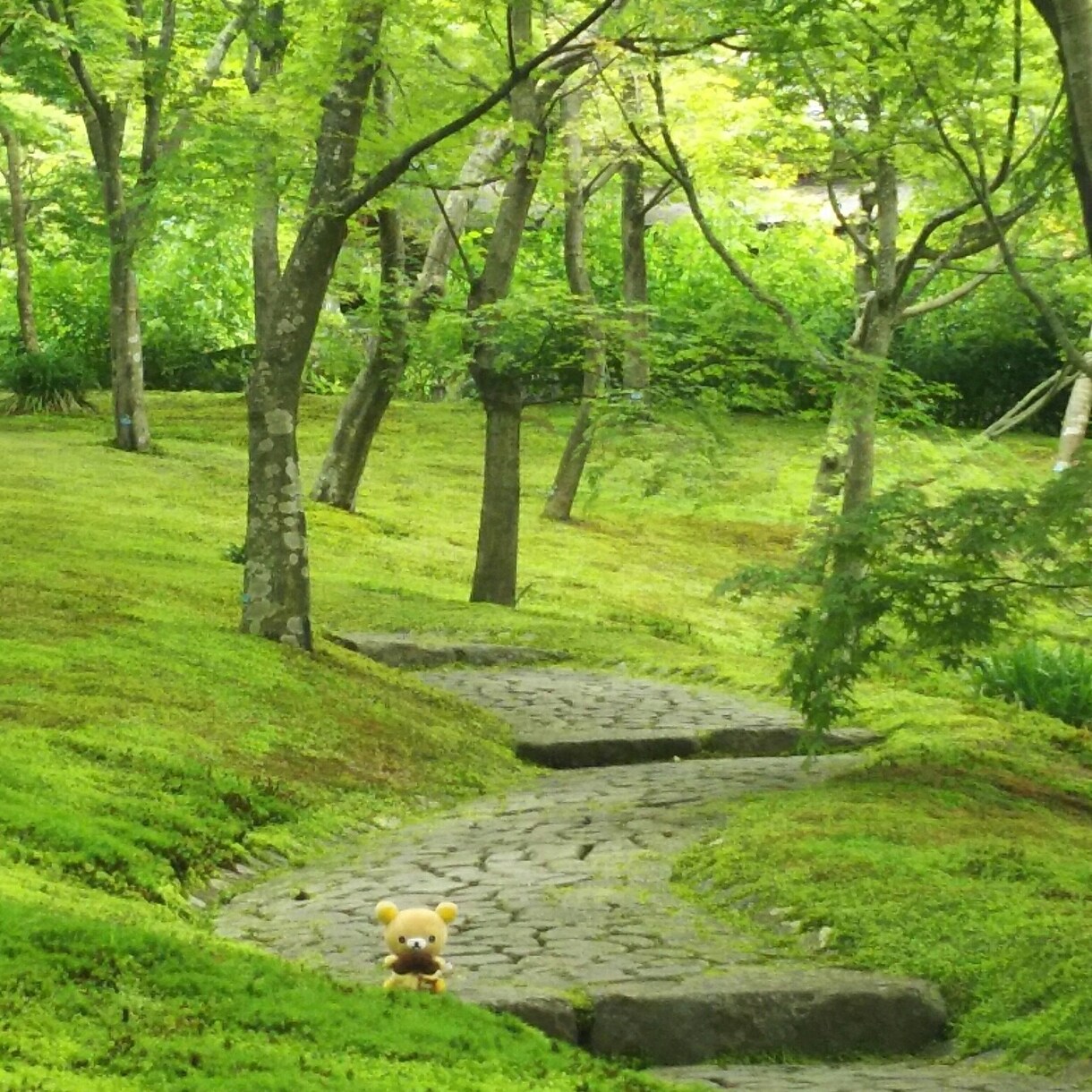 あなたの話しを聞きます 話すことでスッキリしてください。否定はしません。 イメージ1