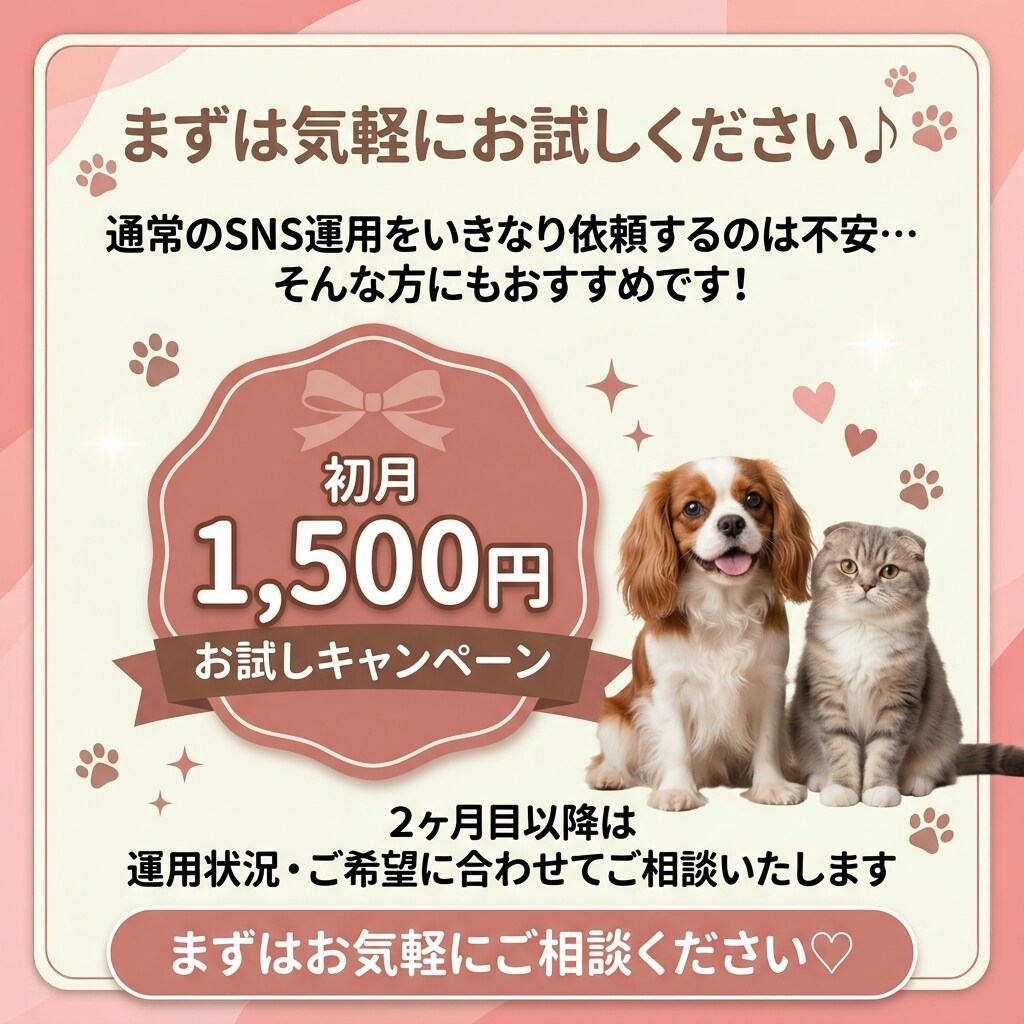 ペット関連のSNS運用を代行します ペット関連事業者様のSNS運用を丁寧にサポートします イメージ5