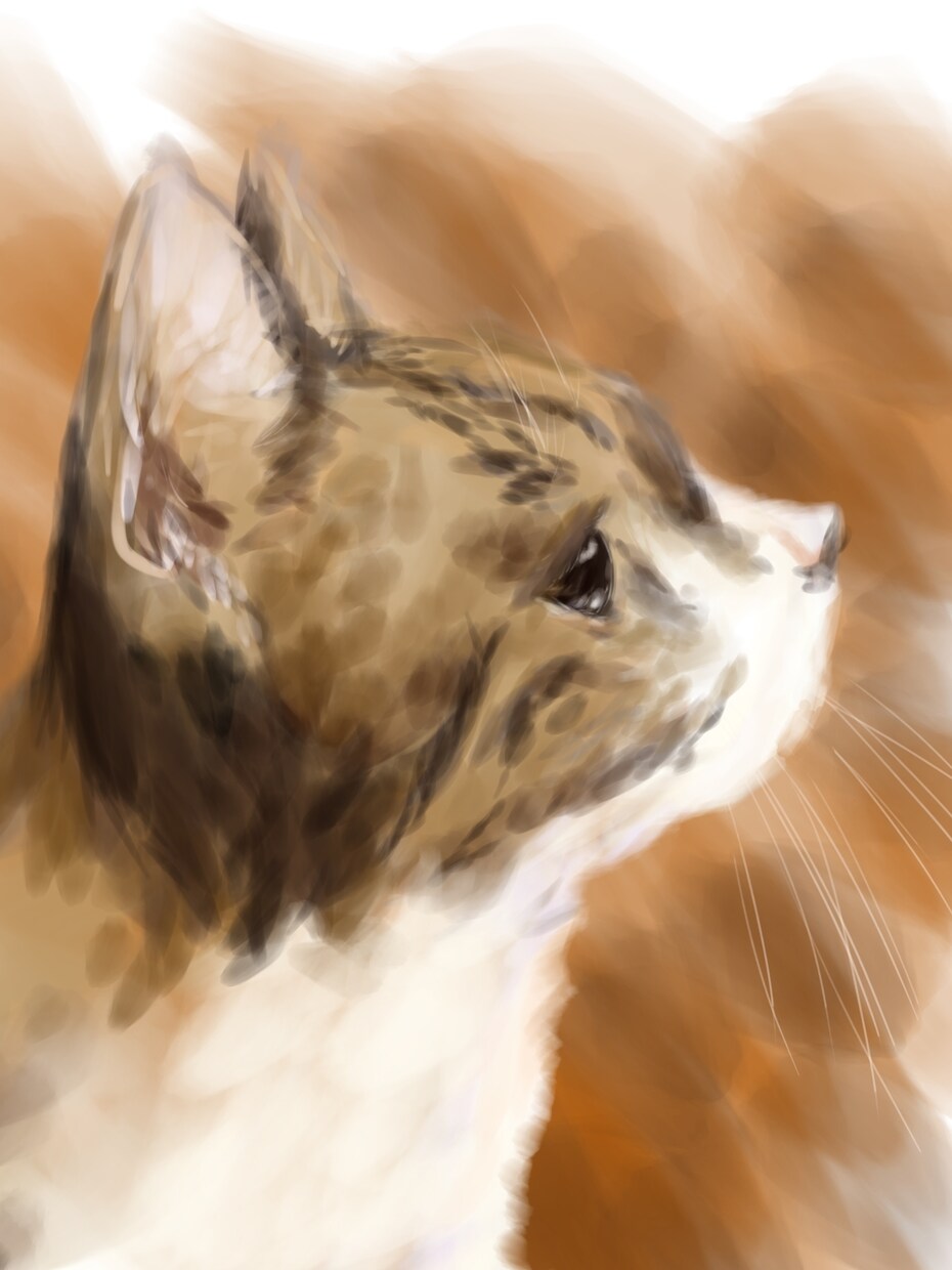猫ちゃんかきます かわいい猫ちゃんを絵にしませんか イメージ1