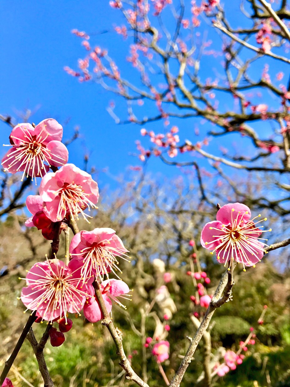 あなたの愛の囁きお聞きします あなたの愛の囁きお聞きしますよろしくお願いします イメージ1