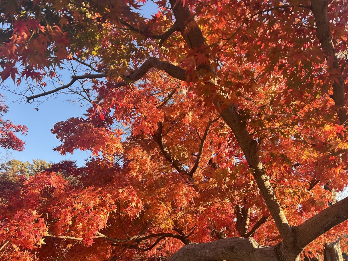 ご家族の介護に疲れたあなたのお話聞きます 家族にも直接言えない「疲れた」を私が聞きます！ イメージ1