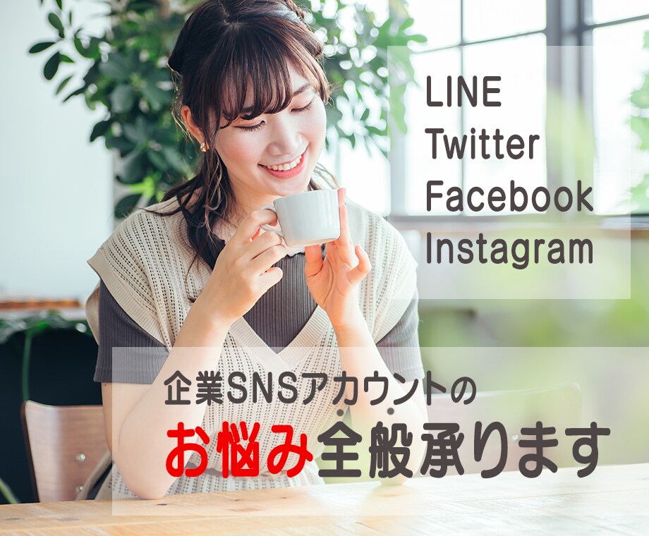 御社SNSアカウントのお悩み全般承ります 不安を解消しあなたの持つSNSのアカウント価値の底上げを イメージ1