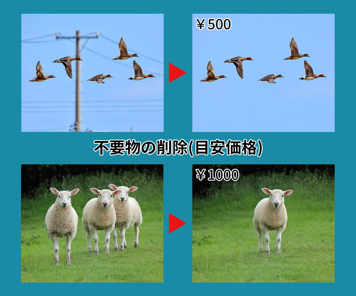 プロが画像加工・修正(レタッチ)いたします 写真館での業務経験を活かして画像加工いたします イメージ3