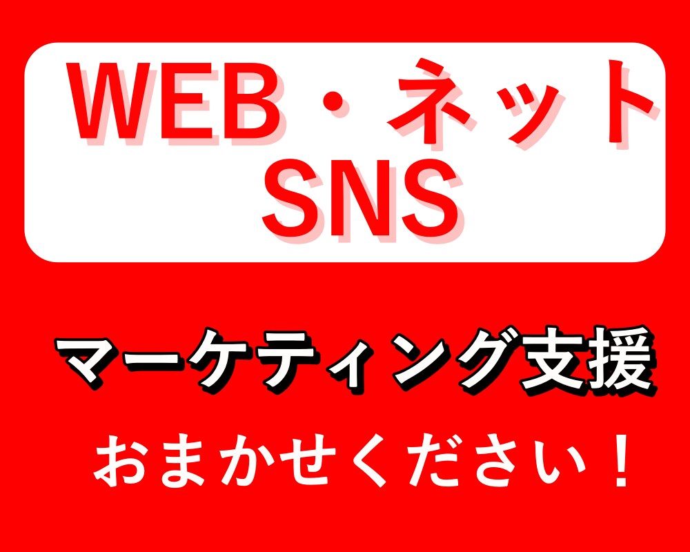 法人様：WEBマーケティングの相談用になります WEB・ネット・SNSマーケティングのお悩みを解決します イメージ1