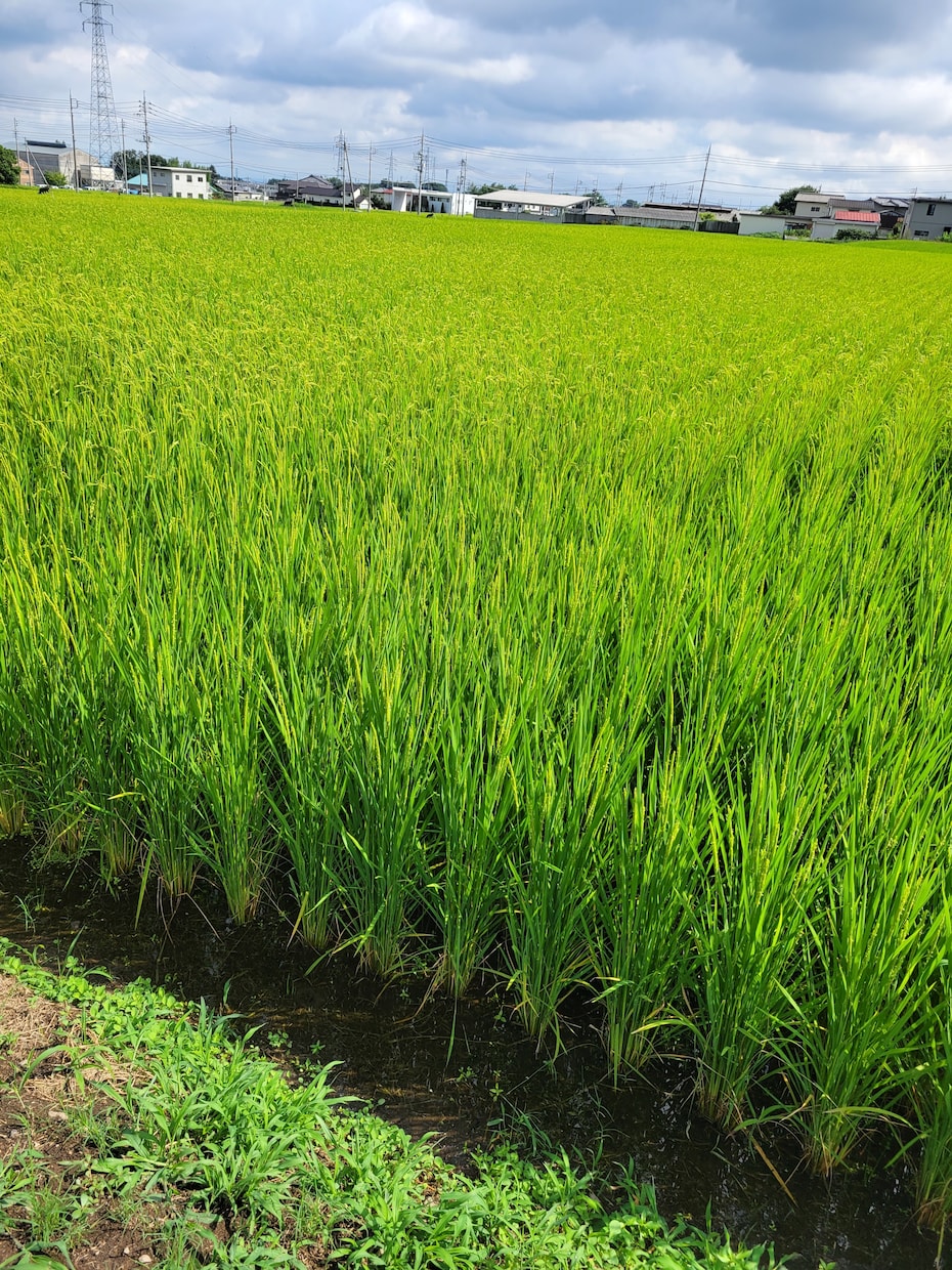 いつでもおかえりなさいと優しく寄り添います 今日の嬉しかった事、辛い、大変、何でも聞かせて下さいね♡ イメージ9