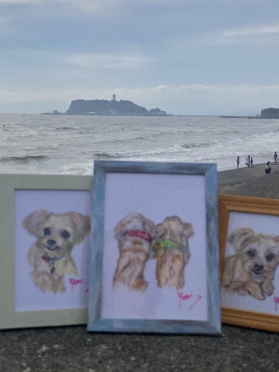 うちの子、お空ぐみの子、を可愛く描きます 可愛くフリーハンド、色鉛筆等でポストサイズからA4判サイズ イメージ1