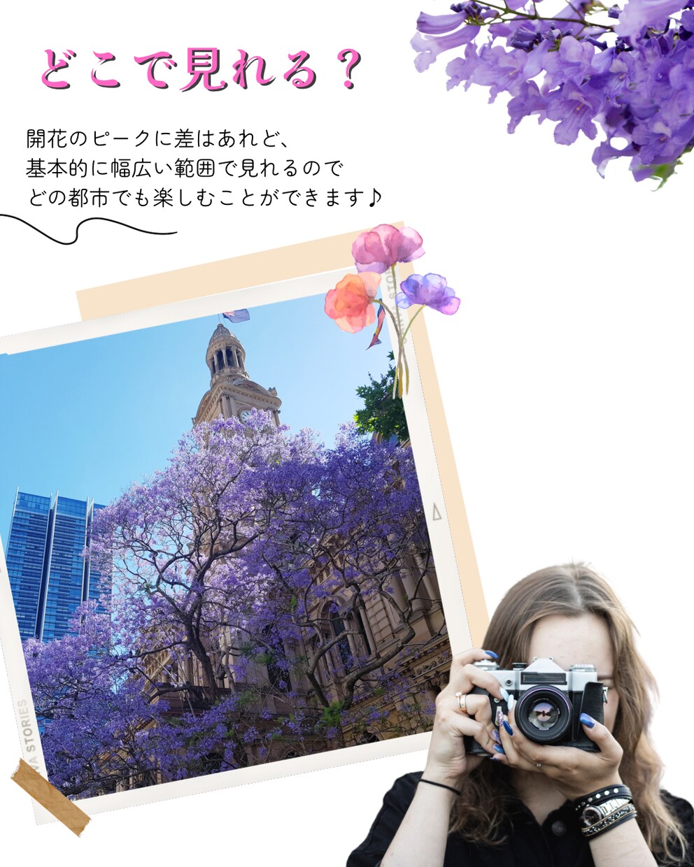 Instagram投稿をサポートします あなたの世界観を具現化！sns発信向け投稿 イメージ2