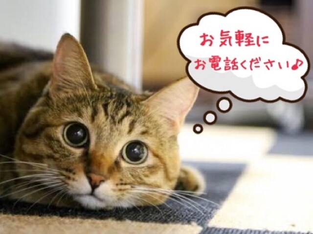 今すぐ♪ 1分からOK！学習・進路相談乗ります ☆教育に携わる仕事をしています☆悩みに寄り添いアドバイス！ イメージ1