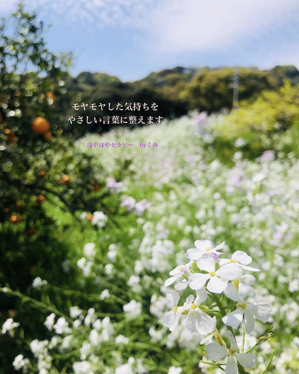 テキスト版　こころのモヤモヤを優しく言葉にします 書くだけで少し軽くなる時間を、一緒に作ります イメージ1