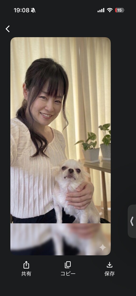 トリマー歴20年のプロが愛犬の相談に乗ります 3日チャットし放題！20年プロが愛犬のケアに伴走 イメージ1