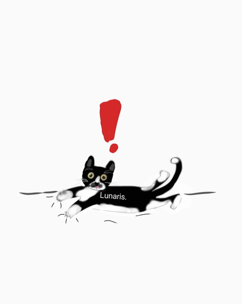 オーダーでつくる “うちの子スタンプ”制作します ペットの写真から素敵なLINEスタンプを制作します！ イメージ1