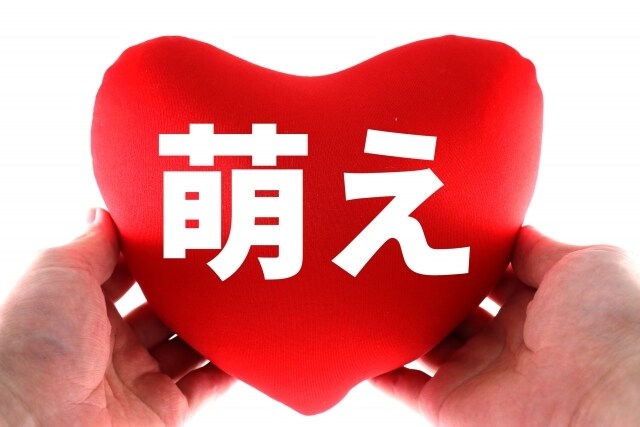 あなたの推し 秘密の趣味 好きな話お聞きします アイドル オタク アニメ 悩み 人間関係  好きな人  モノ イメージ4