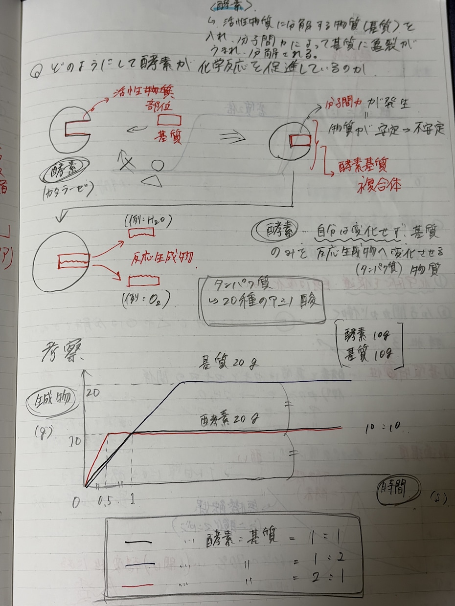 テストの成績アップのためのプリントを提供しています 小中高と成績トップの現役大学生がテスト点数アップの全てを伝授 イメージ8