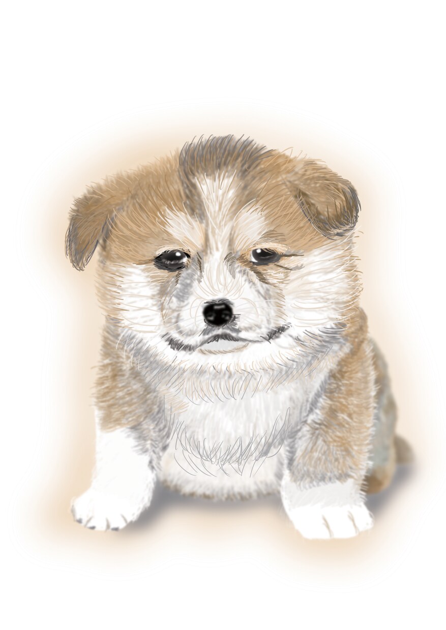 ペットのイラスト作成致します 可愛いペットのイラストを作成してみませんか？ イメージ1